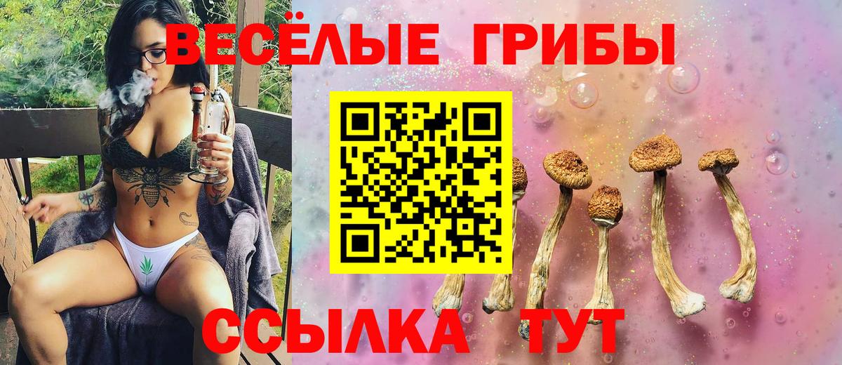 Туапсе  Галлюциногенные грибы Magic Shrooms  Вход с VPN 